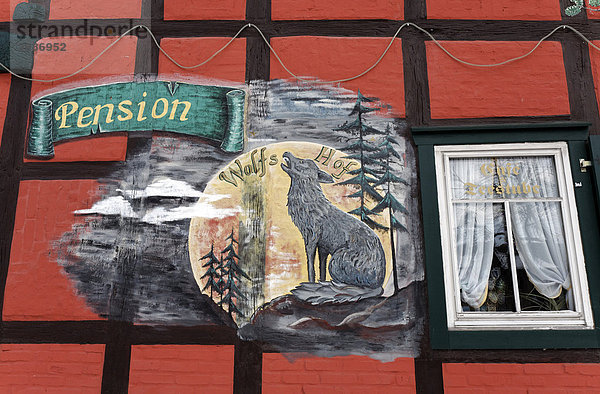 Heulender Wolf  an die Wand eines Fachwerkhauses gemalt  Schild einer Pension  Harzgerode  Harz  Sachsen-Anhalt  Deutschland  Europa