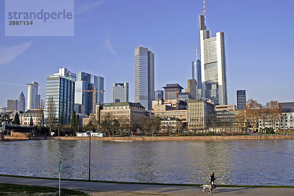 Skyline  Main  Frankfurt am Main  Hessen  Deutschland  Europa