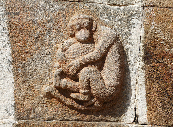 Affen-Relief an Tempelwand  Jain-Tempel auf Vindyagiri Hill  Shravanabelagola  Sravanabelgola  Shravana Belgola  Karnataka  Südindien  Indien  Südasien  Asien
