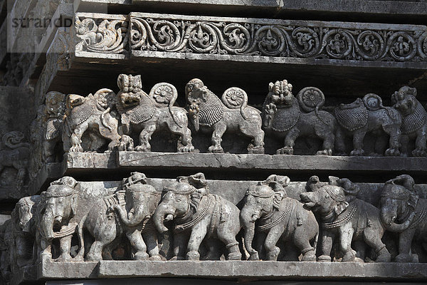 Reihen von Löwen und Elefanten  Reliefs an der Außenwand des Hoysaleswara Tempels  Hoysala-Stil  Halebidu  Halebid  Karnataka  Südindien  Indien  Südasien  Asien