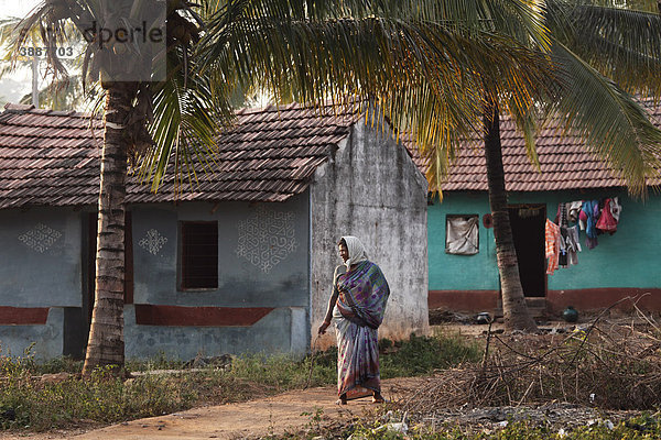 Dorf in Coorg  Karnataka  Südindien  Indien  Südasien  Asien