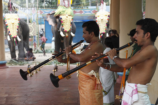 Nadaswaram-Musiker  Hindu-Tempelfest mit Elefanten  Sri Mahadeva Tempel in Pattanakkad  Kerala  Südindien  Indien  Südasien  Asien