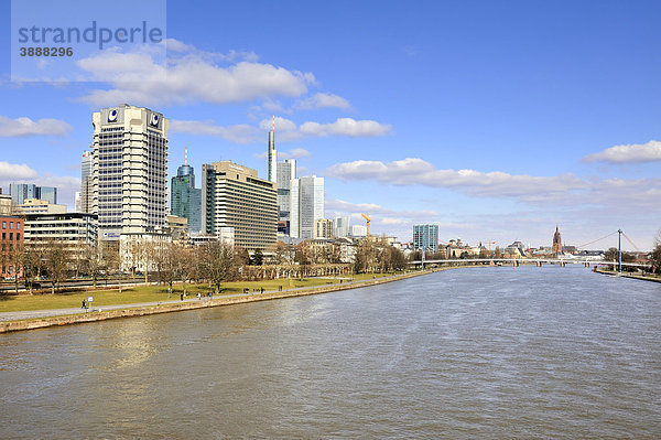 Blick über den Main zur Skyline des Bankenviertels der Stadt Frankfurt  Hessen  Deutschland  Europa