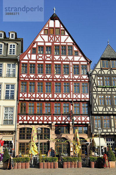 Rekonstruiertes Fachwerkhaus von der Ostzeile vom Römerberg oder Samstagsberg  Frankfurt am Main  Hessen  Deutschland  Europa
