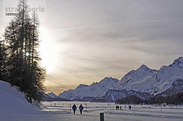 Sils Maria  Engadin  Graubünden  Schweiz  Europa