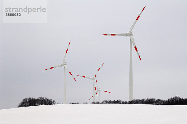 Rot-weiße Windkrafträder im Schnee gegen grauen Himmel  Schönberg  Mecklenburg-Vorpommern  Deutschland  Europa