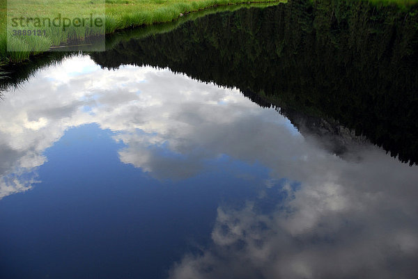 Spiegelung im See  Spechtensee Naturschutzgebiet  Landschaft zwischen Tauplitz und Liezen  Salzkammergut  Steiermark Alpen  Österreich  Europa