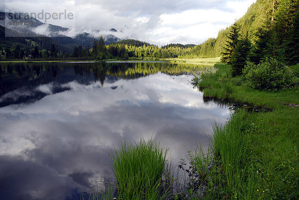 Spiegelung im See  Spechtensee Naturschutzgebiet  Landschaft zwischen Tauplitz und Liezen  Salzkammergut  Steiermark Alpen  Österreich  Europa