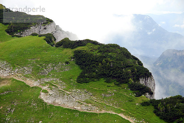 Naturschutzgebiet  Landschaft am Loser Berg  Altaussee  Bad Aussee  Ausseerland  Totes Gebirge  Salzkammergut  Steiermark Alpen  Österreich  Europa