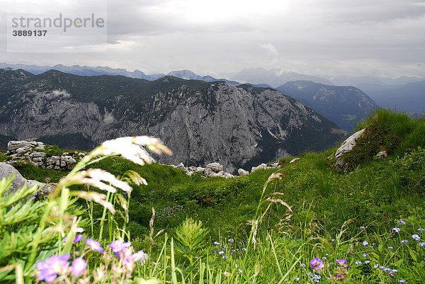 Naturschutzgebiet  Landschaft am Loser Berg  Altaussee  Bad Aussee  Ausseerland  Totes Gebirge  Salzkammergut  Steiermark Alpen  Österreich  Europa