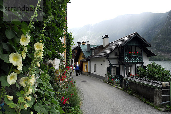 Straße am Hallstätter See  Hallstatt  UNESCO-Welterbe  Salzkammergut  Alpen  Oberösterreich  Österreich  Europa