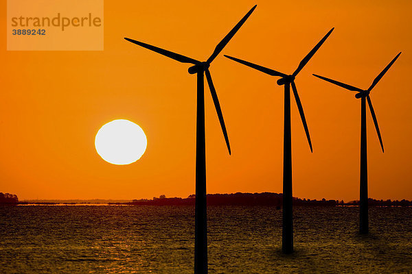 Silhouette von drei Offshore-Windkraftanlagen im Sonnenaufgang