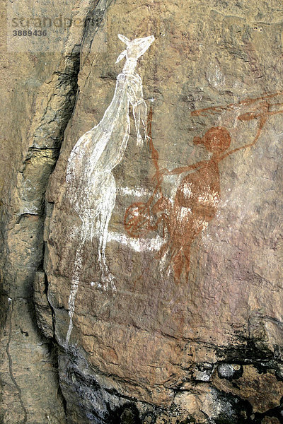 Felsmalereien der Aborigines  Anbangbang Gallery  Nourlangie Kakadu Nationalpark  Northern Territory  Australien