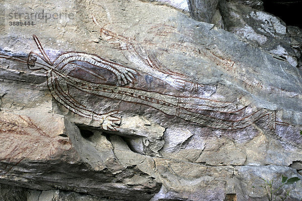 Felsmalereien der Aborigines  Nangaluwur Kunststätte  Kakadu Nationalpark  Northern Territory  Australien