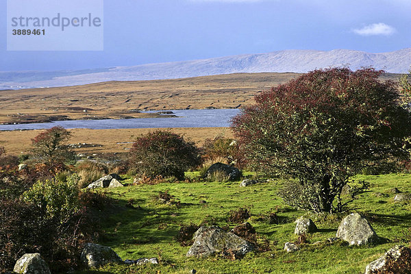 Landschaft von Lar Connaught  County Galway  Republik Irland  Europa