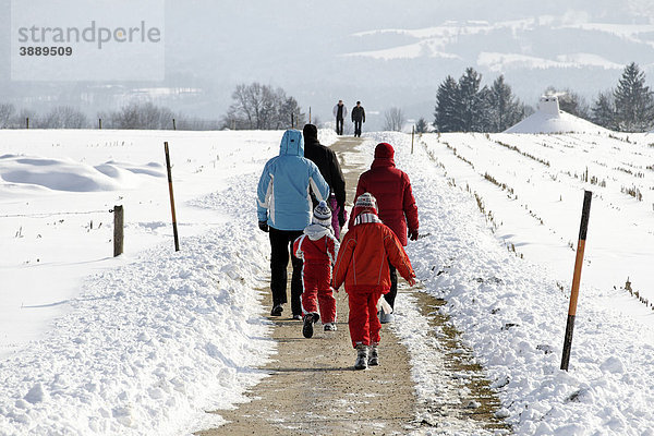 Familie wandert in einer Winterlandschaft  Chiemgau  Oberbayern  Deutschland  Europa
