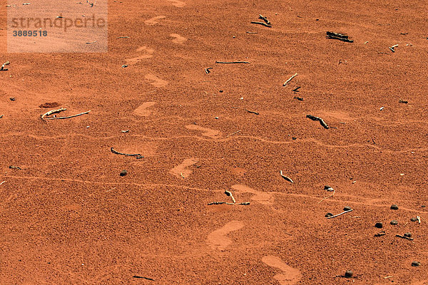 Fußspuren von australischen Aborigines im roten Wüstensand  Northern Territory  Australien