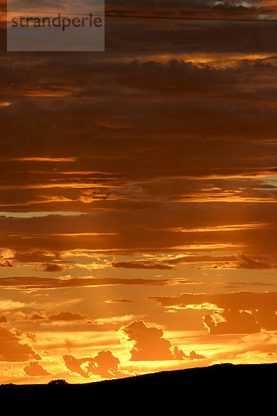 Sonnenuntergang  Himmel  Nordwest-Australien