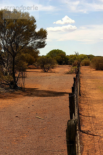 Rabbit-Proof Fence  kaninchensicherer Zaun  zentrales Nordwest-Australien