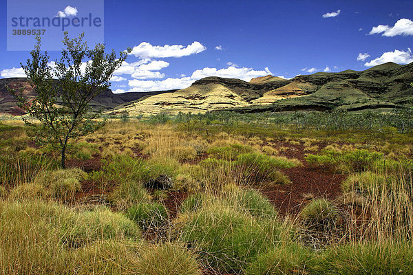 Australische Outback Landschaft  Hamersley Gebirgskette  Pilbara  Nordwest-Australien