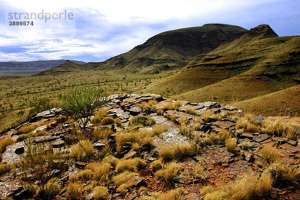 Landschaft auf dem Mount Bruce Berg  Karijini Nationalpark  Pilbara  Western Australia  Australien