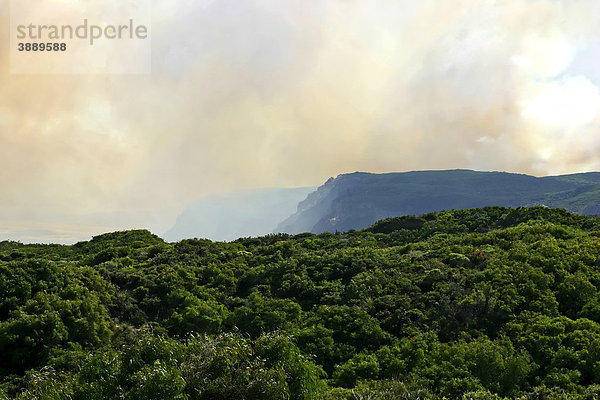 Rauch eines Buschfeuers im D'Entrecasteaux-Nationalpark  Western Australia  Australien