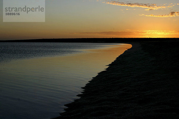 Sonnenaufgang am Shell Beach Muschelstrand  Shark Bay Bucht  Weltkulturerbe  Westaustralien