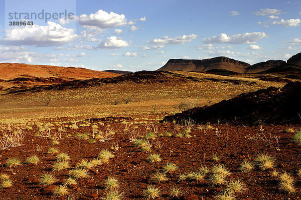 Landschaft mit Spinifex Gras (Spinifex)  Pilbara  Nordwest-Australien  Australien