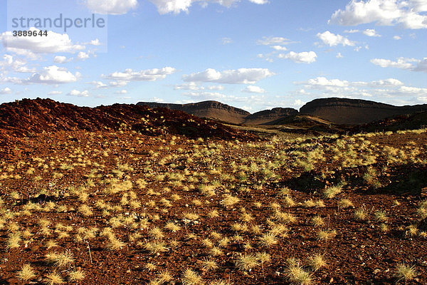 Landschaft mit Spinifex Gras (Spinifex)  Pilbara  Nordwest-Australien  Australien
