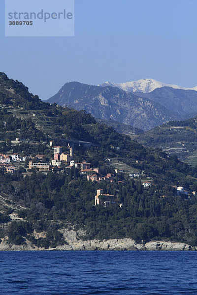 Mortola und Giardini Hanbury  bei Ventimiglia  Provinz Imperia  Ligurien  Italienische Riviera  Italien  Europa