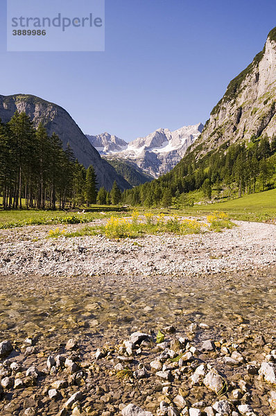 Enger Bach  beim Loachwald  dahinter Spritzkarspitze und Grubenkarspitze  Engtal  Karwendelgebirge  Tirol  Österreich  Europa