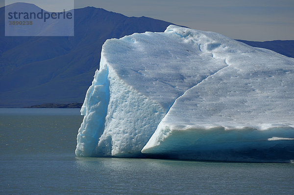 Gletscher  Detail  Viedma-Gletscher mit Lago Viedma  El Chalten  Patagonien  Argentinien  Südamerika