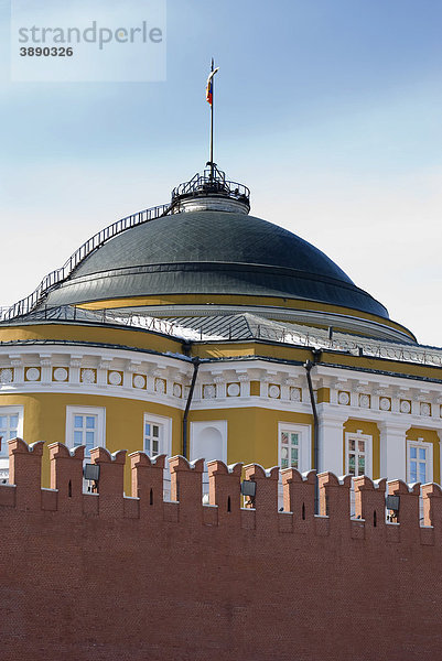 Kuppel des russischen Senatspalast  Kreml  Moskau  Russland