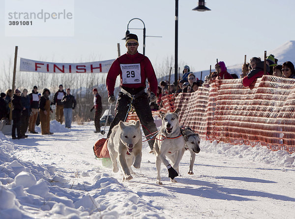 Mann beim Hundeschlittenrennen  Schlittenhunde ziehen Langläufer und kleinen Schlitten  Pulka  Hundesport  Alaskan Huskies Schlittenhunde  Beginn des Road Runner 100 Hundeschlittenrennen  Whitehorse  Yukon Territorium  Kanada