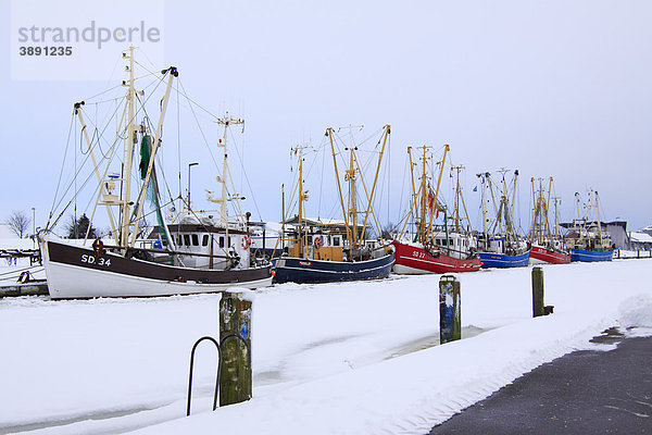 Fischkutter im zugefrorenen Hafen von Friedrichskoog an der Nordseeküste im Winter  Kreis Dithmarschen  Schleswig-Holstein  Deutschland  Europa