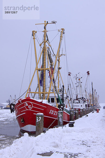 Fischkutter im zugefrorenen Hafen von Büsum an der Nordseeküste im Winter bei Schneetreiben  Kreis Dithmarschen  Schleswig-Holstein  Deutschland  Europa