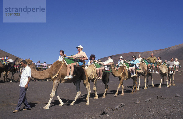 Kamelritt  Kamelkarawane im Nationalpark Timanfaya  Touristen  Feuerberge  Lava  Lanzarote  Kanarische Inseln  Spanien  Europa Kamelritt  Kamel