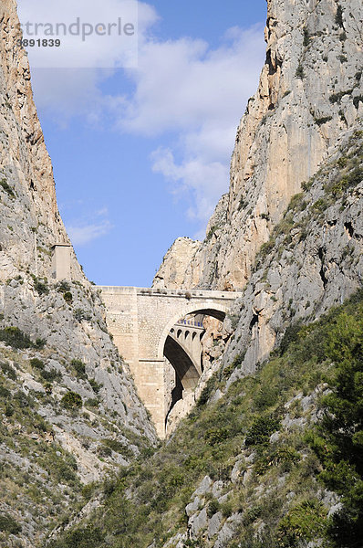 Straße  Brücke  Tunnel  Berge  Altea  Costa Blanca  Provinz Alicante  Spanien  Europa
