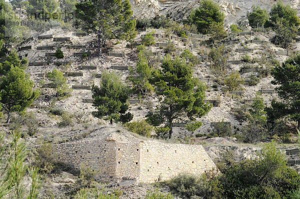 Berghang  Berg  Befestigung  Holz  Stützen  Costa Blanca  Provinz Alicante  Spanien  Europa