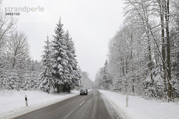 Landstraße durch Wald im Winter  Landkreis Pfullingen  Baden-Württemberg  Deutschland  Europa