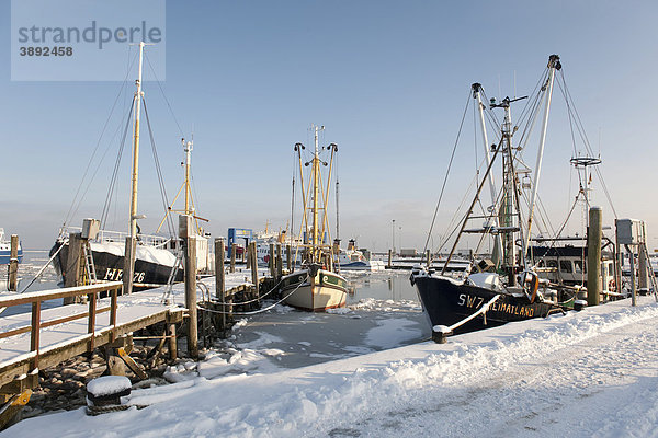 Der Hafen des Hauptortes Wyk ist in einem kalten Winter fast vollständig zugefroren  Nordsee-Insel Föhr  Nationalpark Schleswig-Holsteinisches Wattenmeer  Nordfriesische Inseln  Schleswig Holstein  Norddeutschland  Europa