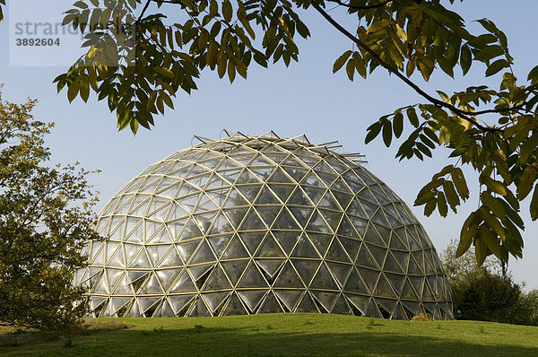 Kuppelgewächshaus  Botanischer Garten  Düsseldorf  Nordrhein-Westfalen  Deutschland  Europa