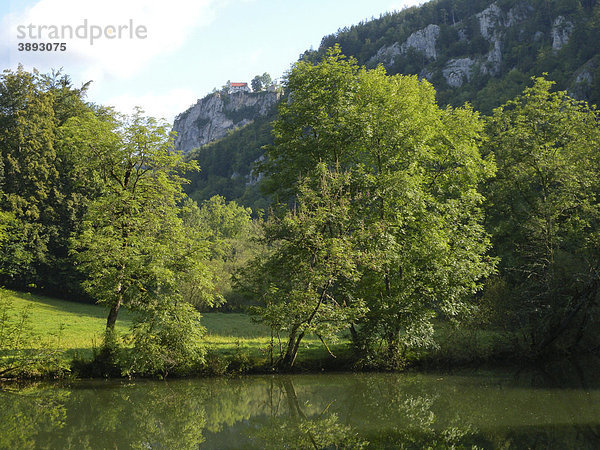 Donau mit Schloss Bronnen  Naturpark Obere Donau  Baden-Württemberg  Deutschland  Europa