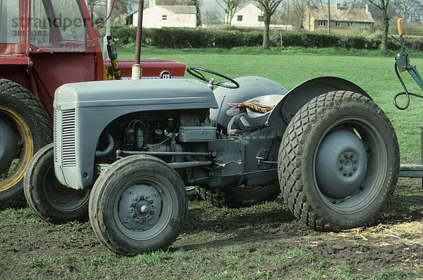Landmaschine  Ferguson TE20  Little Grey Fergie Traktor  ca. 1955  England  Vereinigtes Königreich  Europa