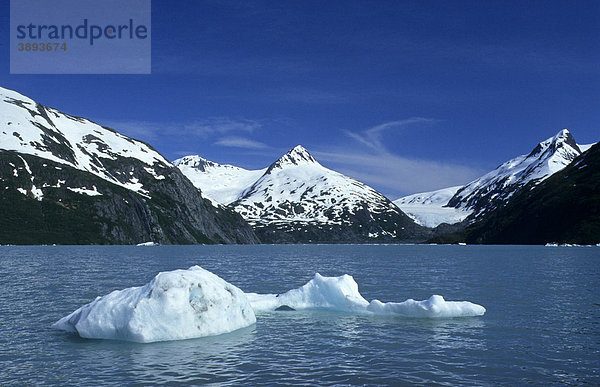 Gletschersee mit Eisberg  Portage Glacier Gletscher  Chugach National Forest  Kenai Halbinsel  Alaska  USA
