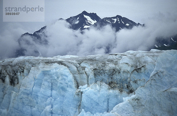 Ende des Alsek Glacier Gletschers  Glacier Bay National Preserve  Alaska  USA