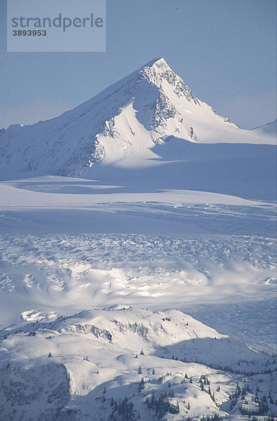Berg und Gletscher  Grewinck Glacier Gletscher  Kachemark Bay  Kenai Mountains  Alaska  USA