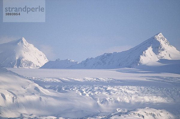 Grewinck Glacier Gletscher  Kachemark Bay  Kenai Mountains  Alaska  USA
