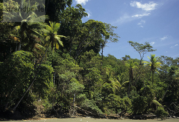 Playa Madrigal  Corcovado Nationalpark  Costa Rica  Mittelamerika