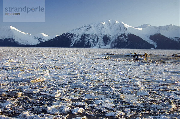 Eis und Berge  Turnagain Arm  Zweig der Cook Inlet Bucht  Alaska  USA